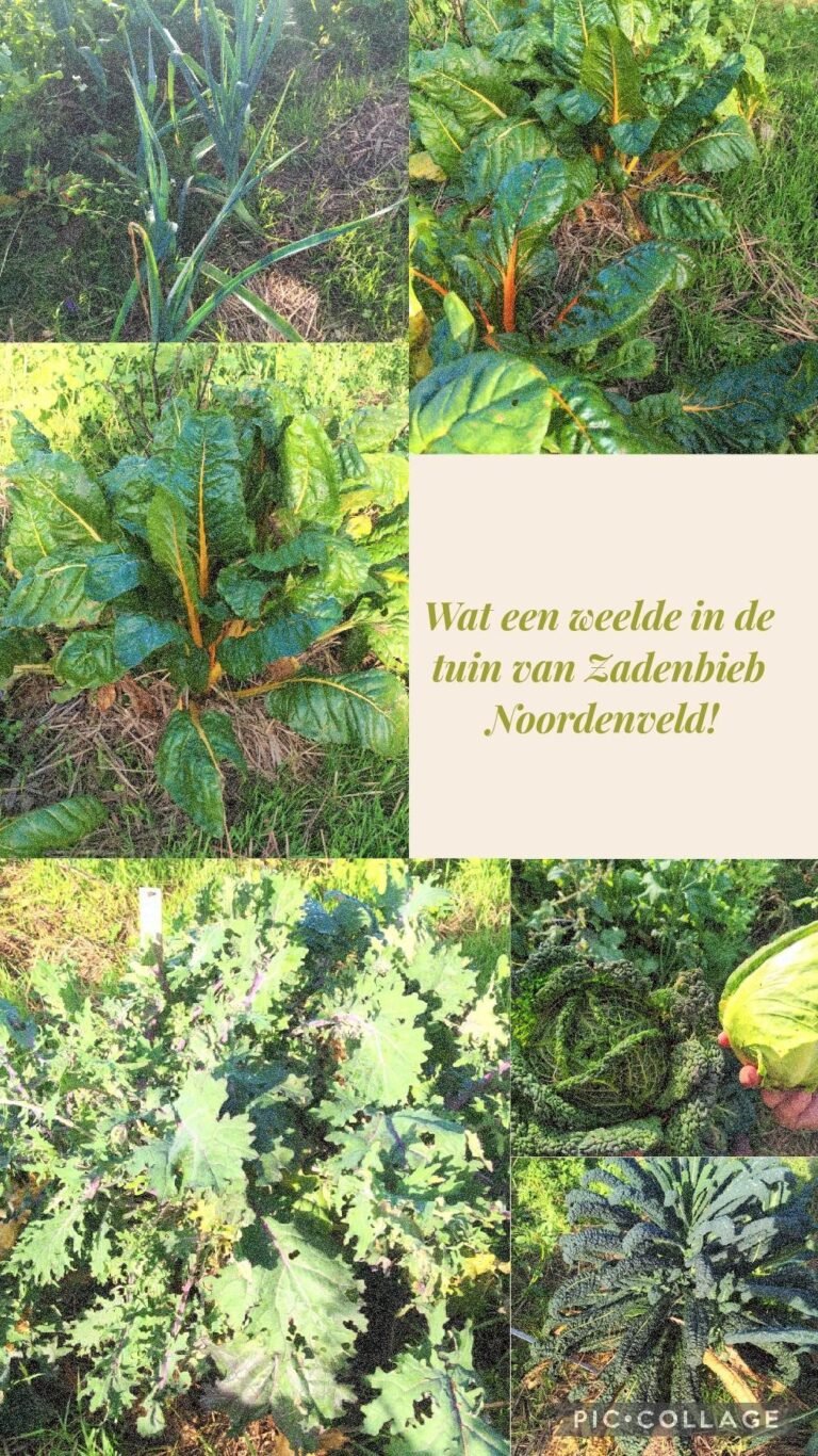 Oogsten en zaaien in het najaar