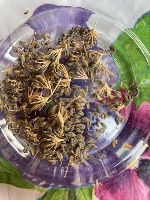 Kijk eens, wat een mooie kleine zaadjes!