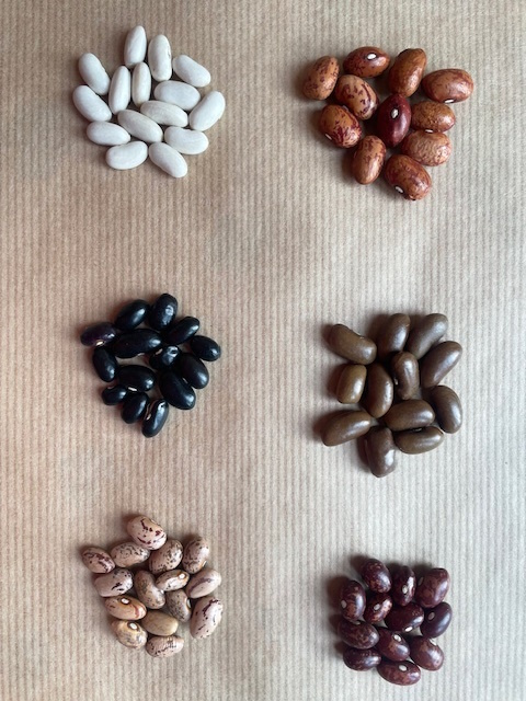 De aangepaste Schijf van Vijf roept op om vaker peulvruchten te eten