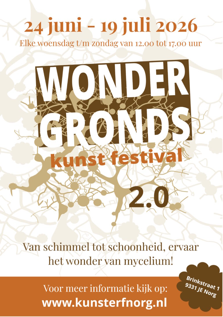 Wondergronds kunstfestival