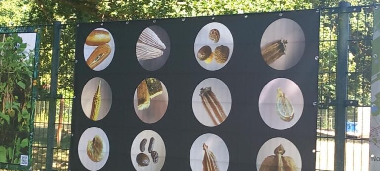 Cultureel erfgoed gemeente Drenthe